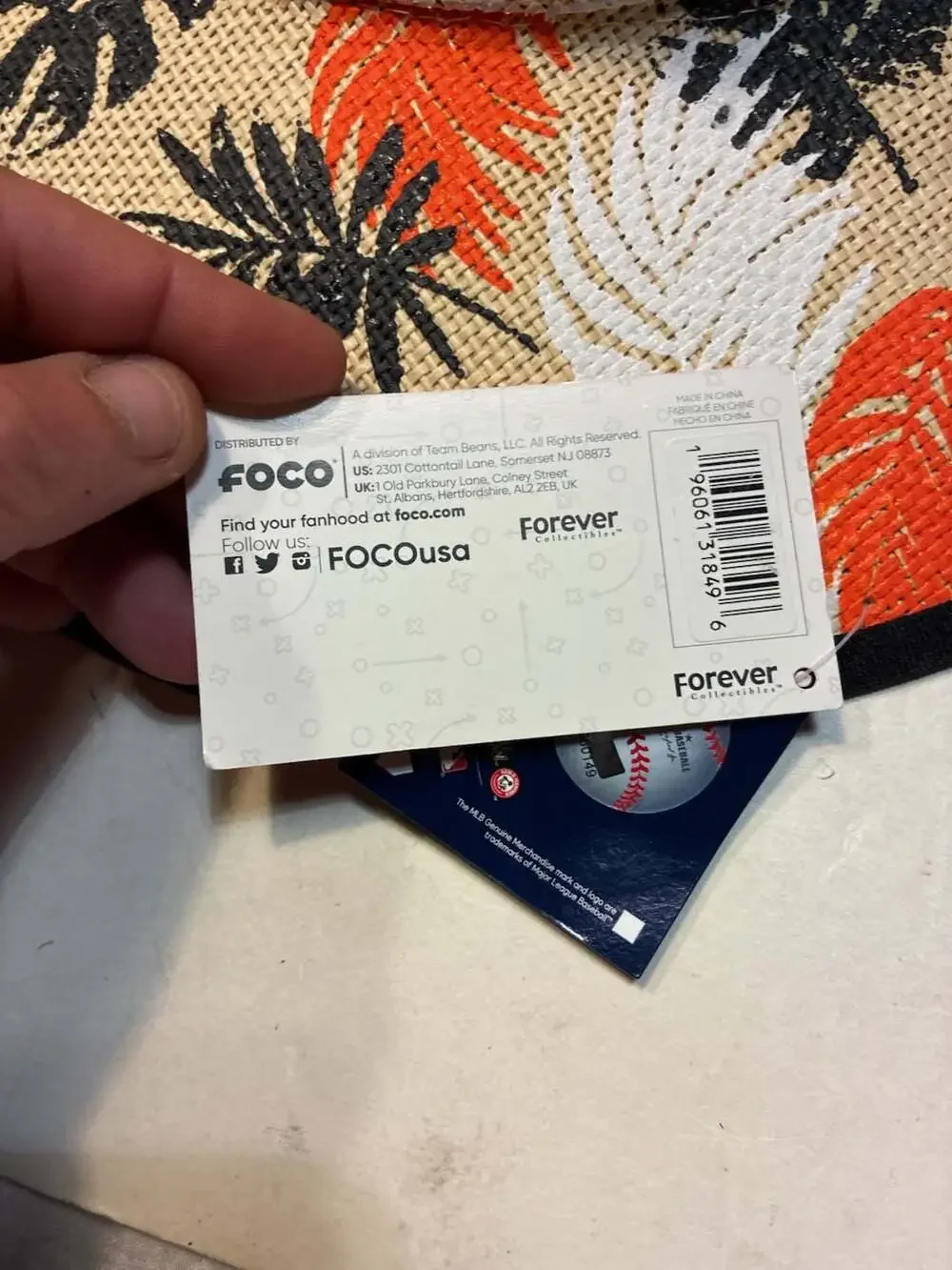 Foco brand new